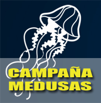 campana_medusas.png